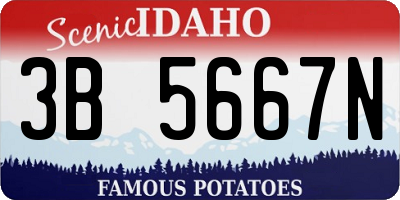 ID license plate 3B5667N