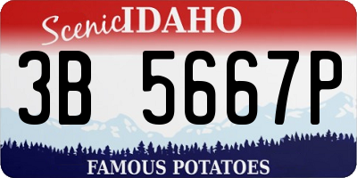 ID license plate 3B5667P