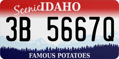 ID license plate 3B5667Q