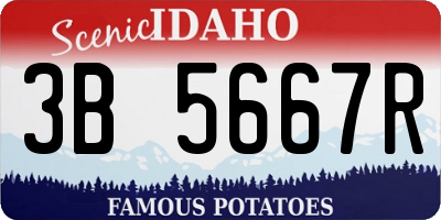 ID license plate 3B5667R