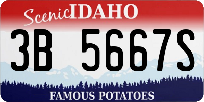 ID license plate 3B5667S