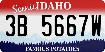 ID license plate 3B5667W
