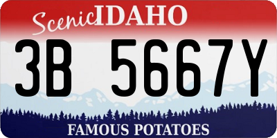 ID license plate 3B5667Y
