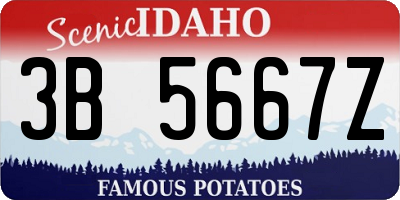 ID license plate 3B5667Z