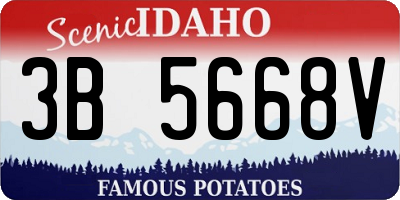 ID license plate 3B5668V