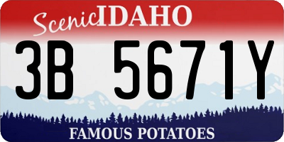 ID license plate 3B5671Y