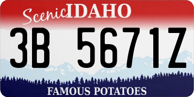 ID license plate 3B5671Z