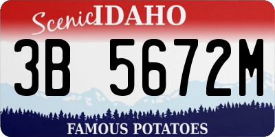 ID license plate 3B5672M