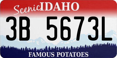 ID license plate 3B5673L