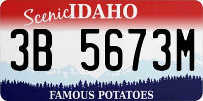 ID license plate 3B5673M