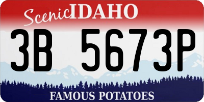 ID license plate 3B5673P