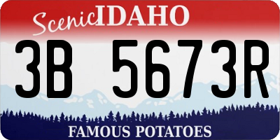 ID license plate 3B5673R