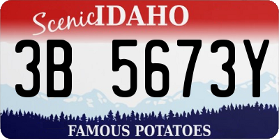 ID license plate 3B5673Y