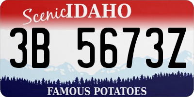ID license plate 3B5673Z