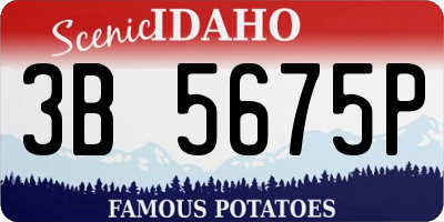 ID license plate 3B5675P
