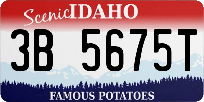 ID license plate 3B5675T