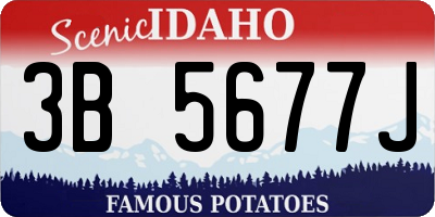 ID license plate 3B5677J