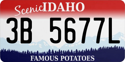 ID license plate 3B5677L