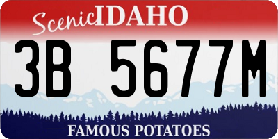 ID license plate 3B5677M