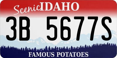 ID license plate 3B5677S