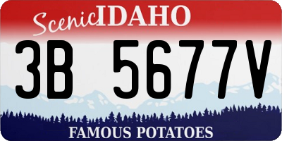 ID license plate 3B5677V