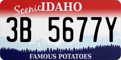 ID license plate 3B5677Y