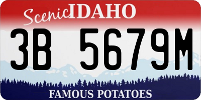 ID license plate 3B5679M