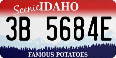 ID license plate 3B5684E