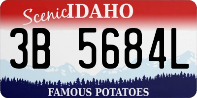 ID license plate 3B5684L