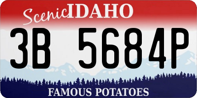 ID license plate 3B5684P