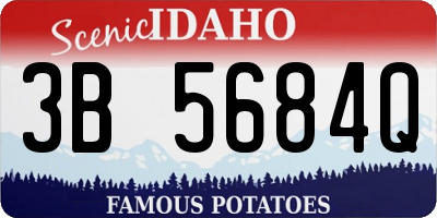 ID license plate 3B5684Q