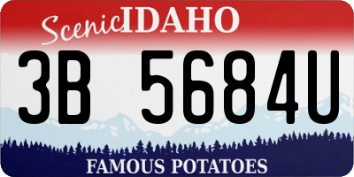 ID license plate 3B5684U