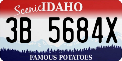ID license plate 3B5684X