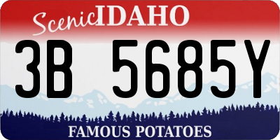 ID license plate 3B5685Y