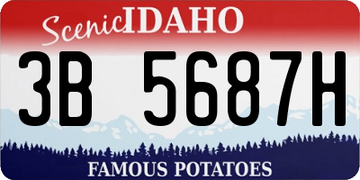 ID license plate 3B5687H