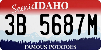 ID license plate 3B5687M