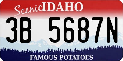 ID license plate 3B5687N