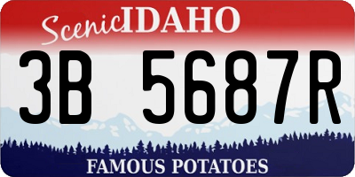 ID license plate 3B5687R