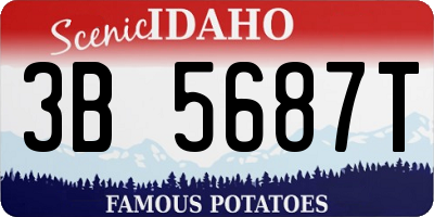 ID license plate 3B5687T