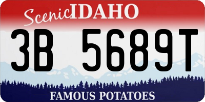 ID license plate 3B5689T