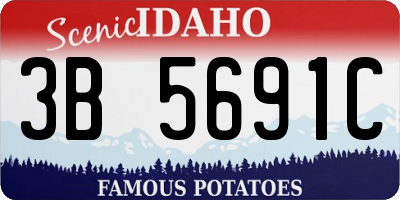 ID license plate 3B5691C