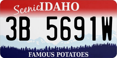 ID license plate 3B5691W