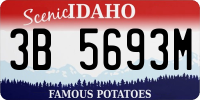 ID license plate 3B5693M