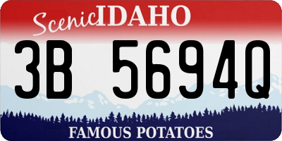 ID license plate 3B5694Q