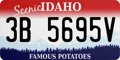 ID license plate 3B5695V