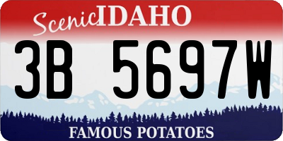 ID license plate 3B5697W