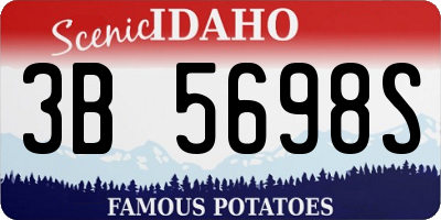 ID license plate 3B5698S