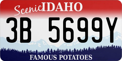 ID license plate 3B5699Y