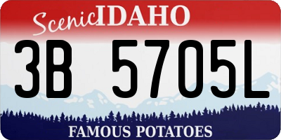 ID license plate 3B5705L