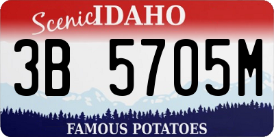 ID license plate 3B5705M